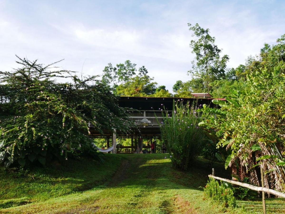 Albergue La Laguna Puerto Jimenez Bagian luar foto