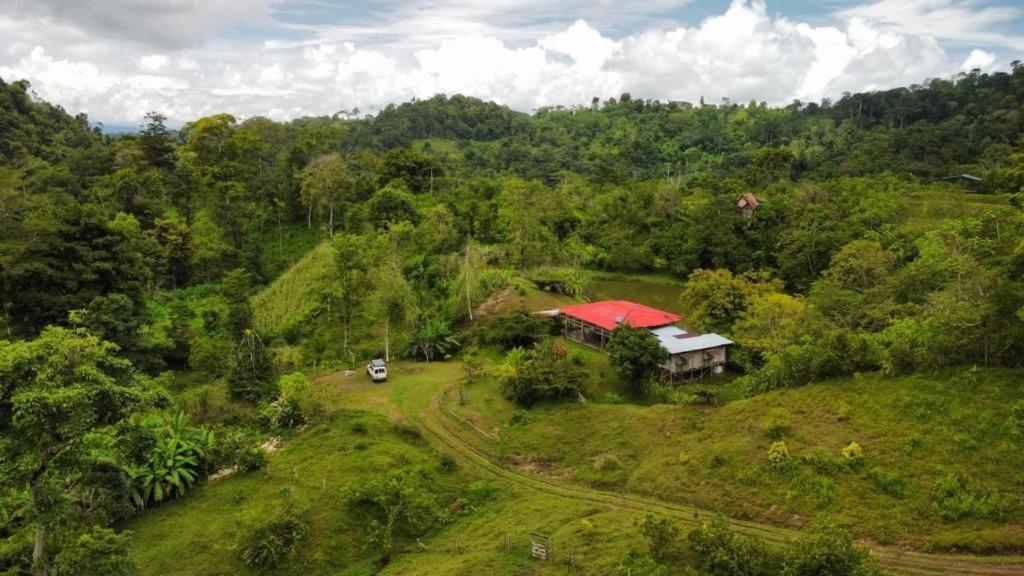 Albergue La Laguna Puerto Jimenez Bagian luar foto