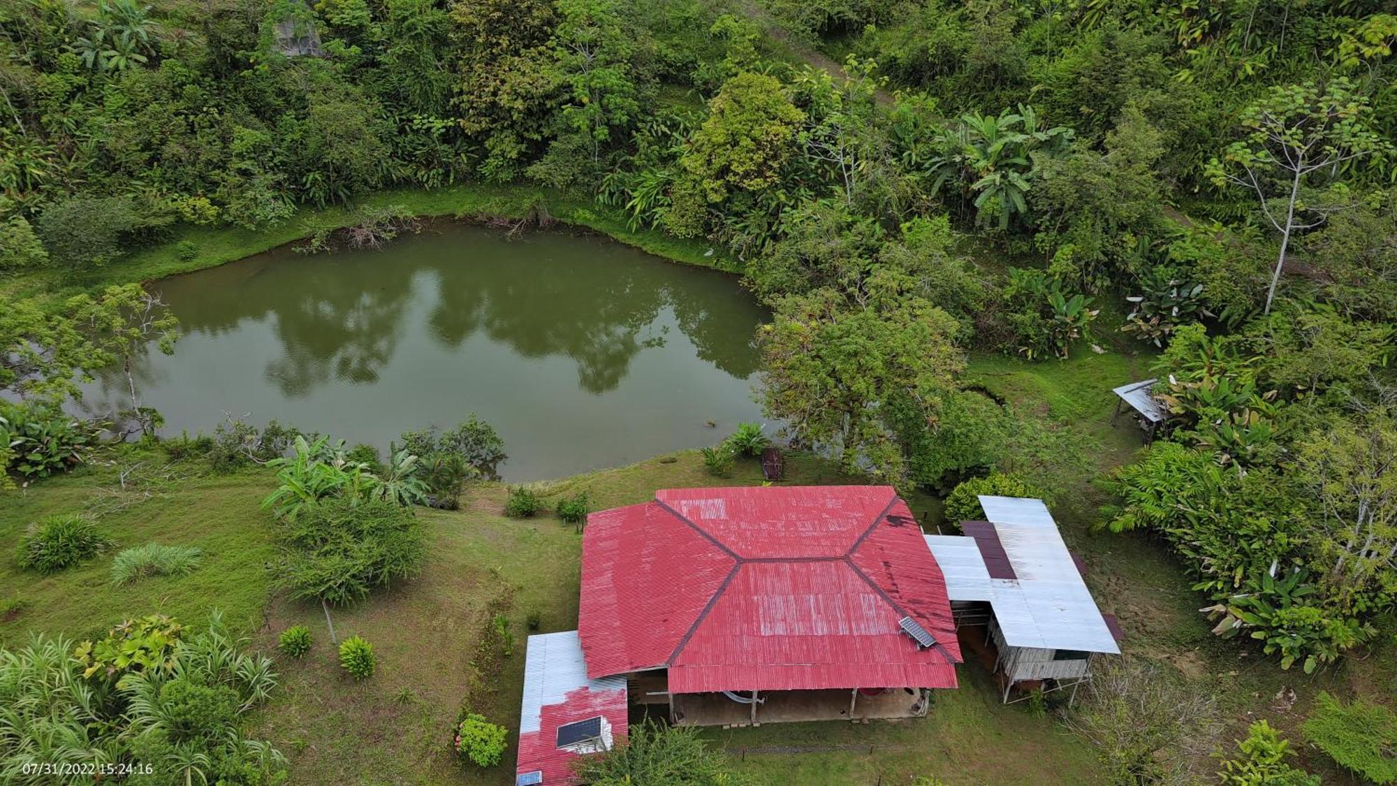 Albergue La Laguna Puerto Jimenez Bagian luar foto