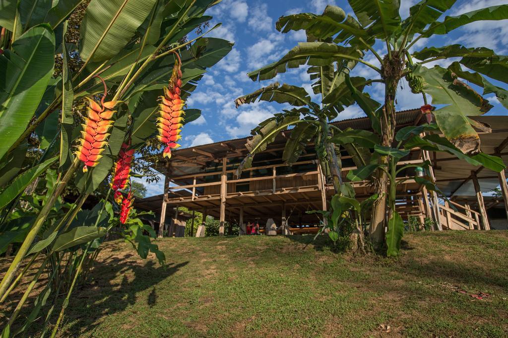 Albergue La Laguna Puerto Jimenez Bagian luar foto