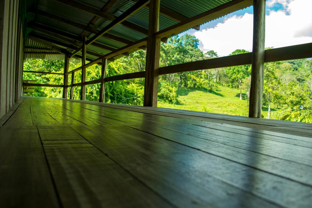 Albergue La Laguna Puerto Jimenez Bagian luar foto